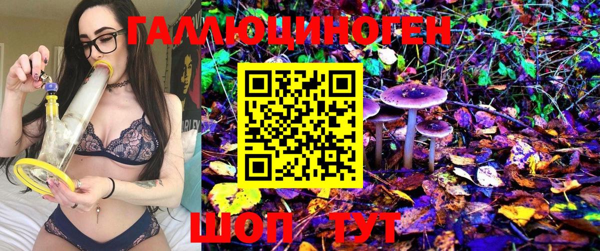 Псилоцибиновые грибы MAGIC MUSHROOMS  Галлюциногенные грибы Magic Shrooms  Вход с VPN  Гудермес 